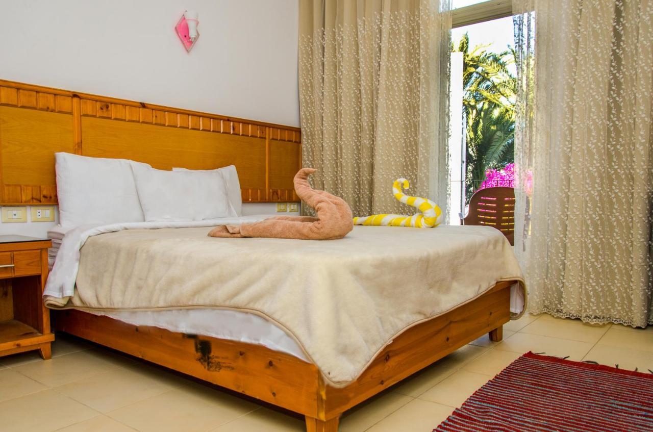 New Yalla Hotel Dahab Exterior photo