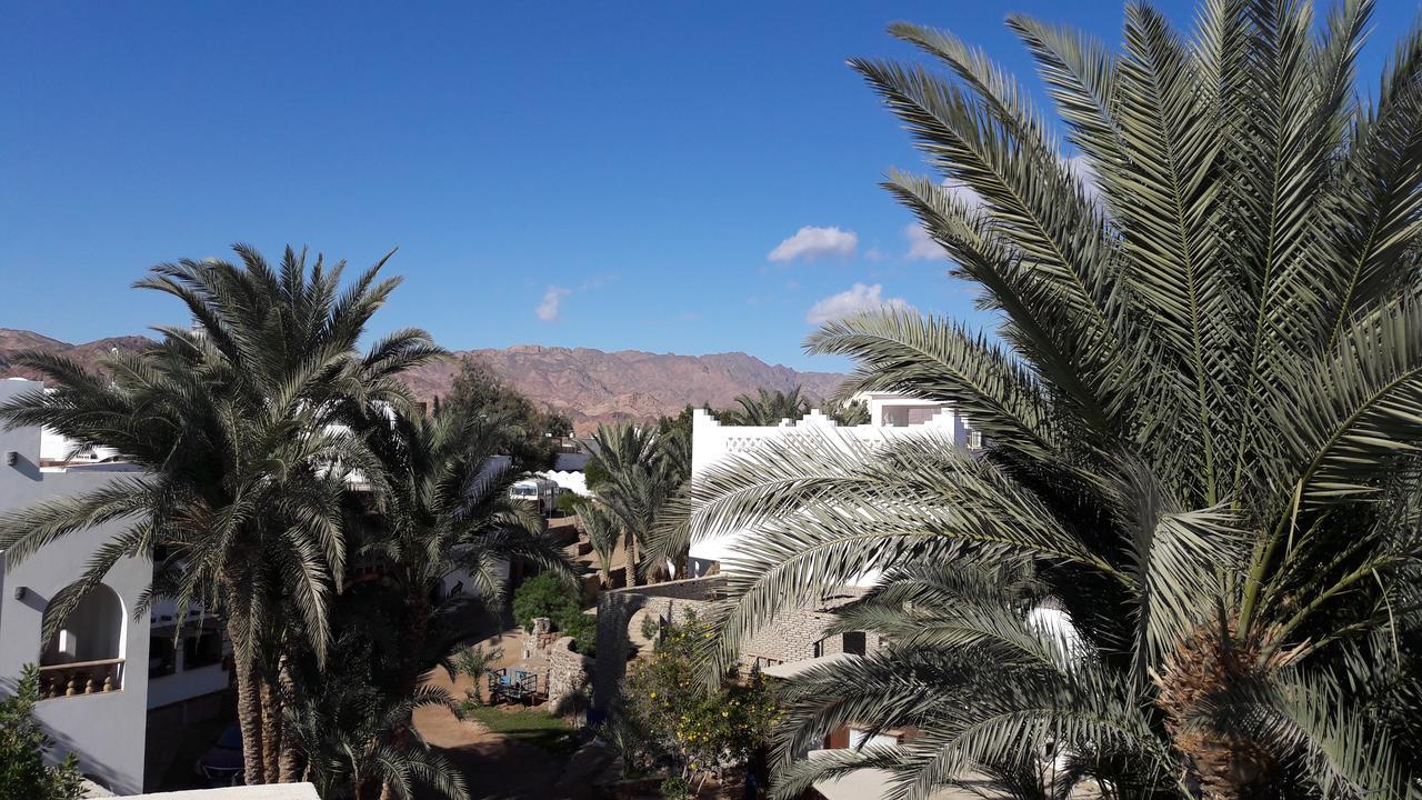 New Yalla Hotel Dahab Exterior photo