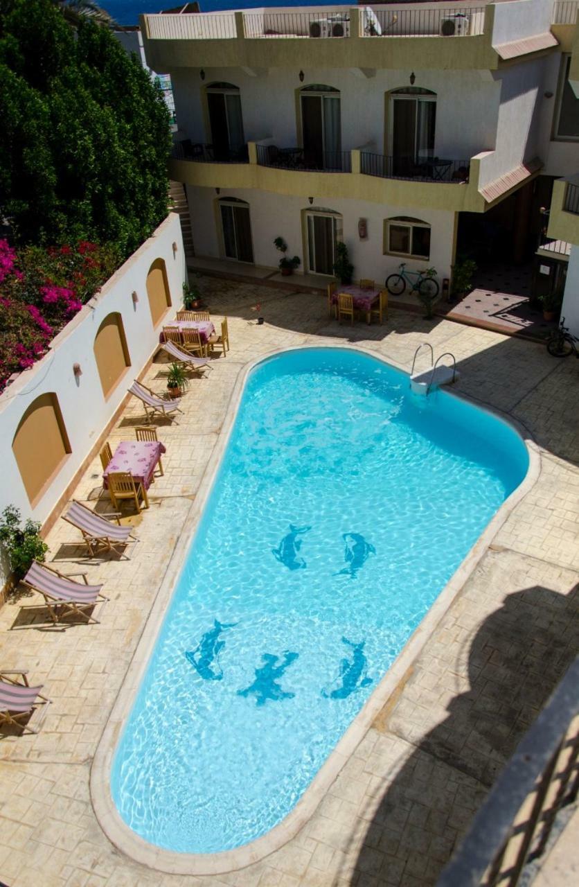New Yalla Hotel Dahab Exterior photo