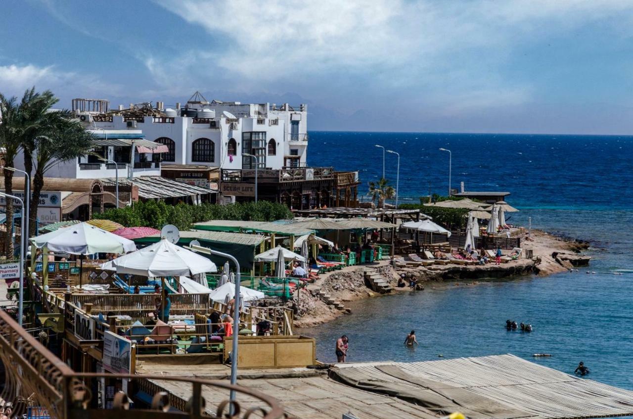 New Yalla Hotel Dahab Exterior photo